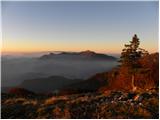 Bohinjsko sedlo - Žbajnek